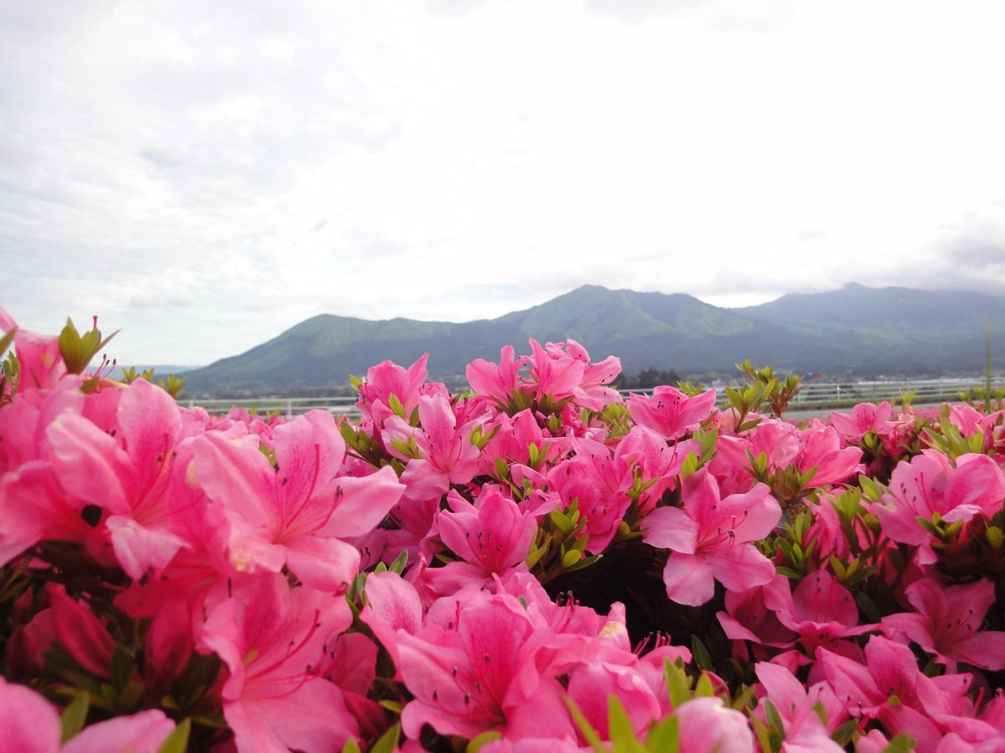 ホテル 四季の森 阿蘇市 エクステリア 写真