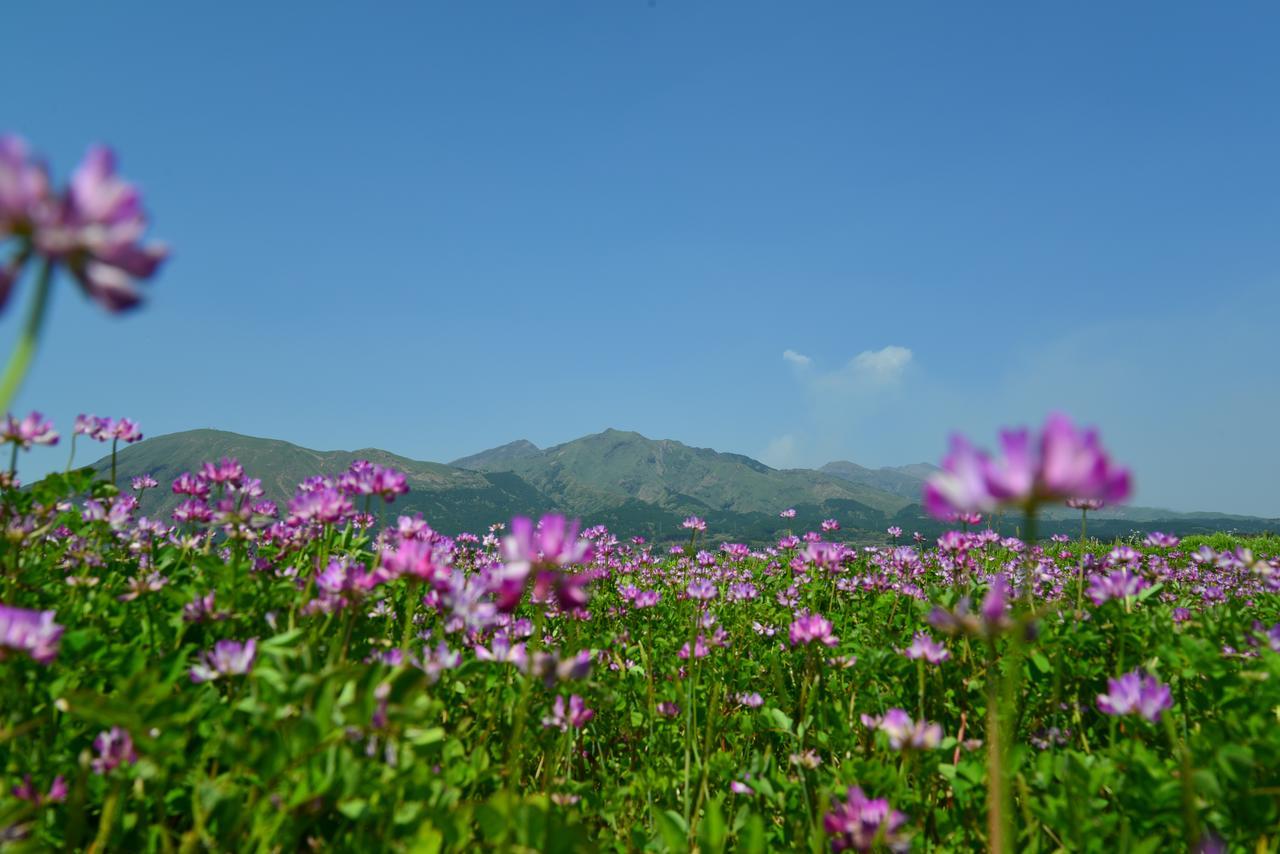 ホテル 四季の森 阿蘇市 部屋 写真