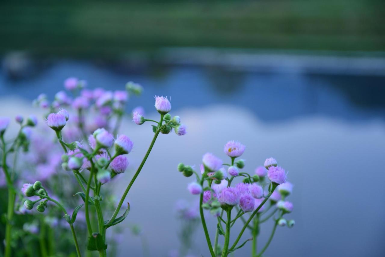 ホテル 四季の森 阿蘇市 エクステリア 写真