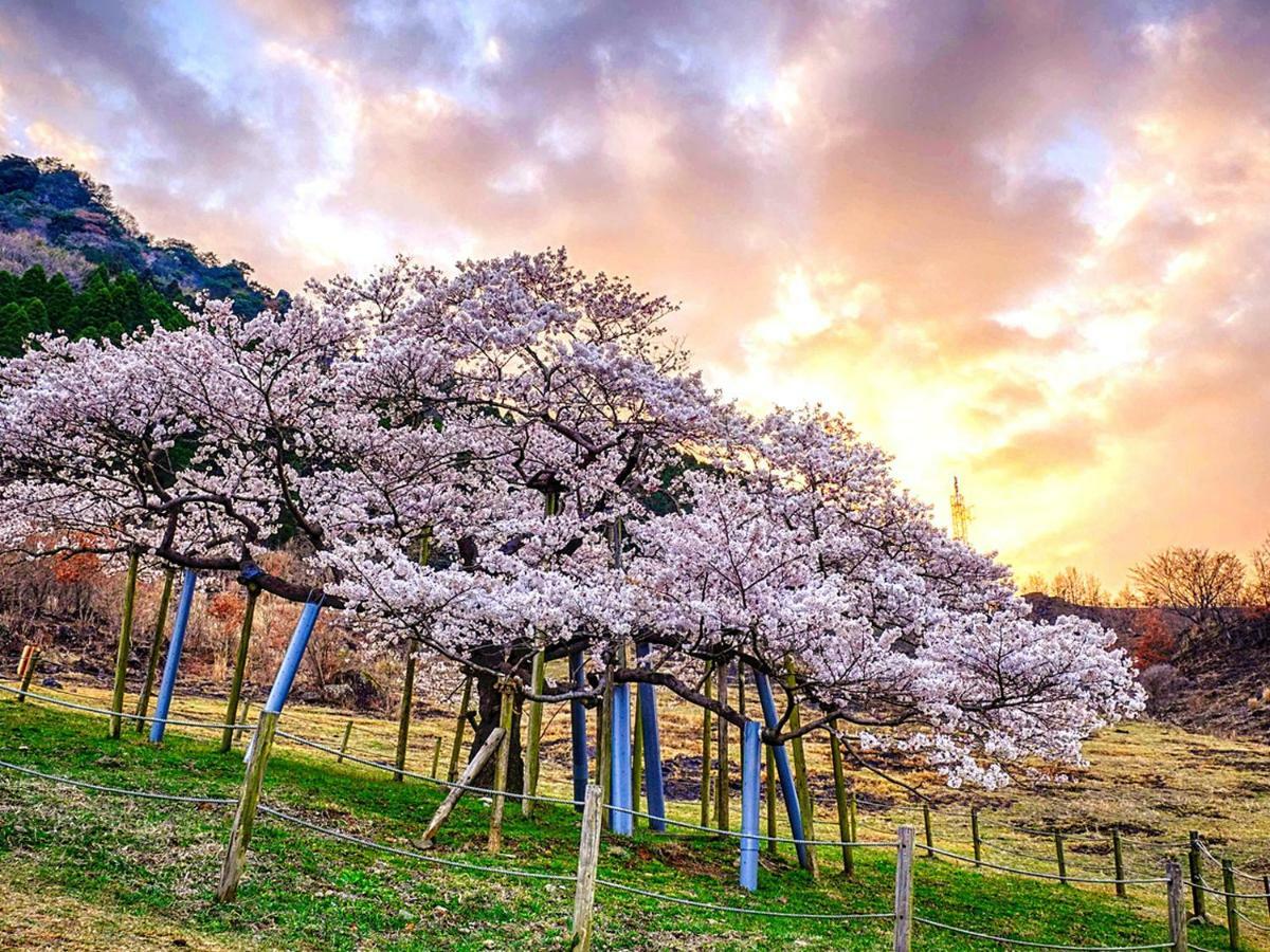 ホテル 四季の森 阿蘇市 エクステリア 写真